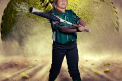 Dream Team Softball Main Template